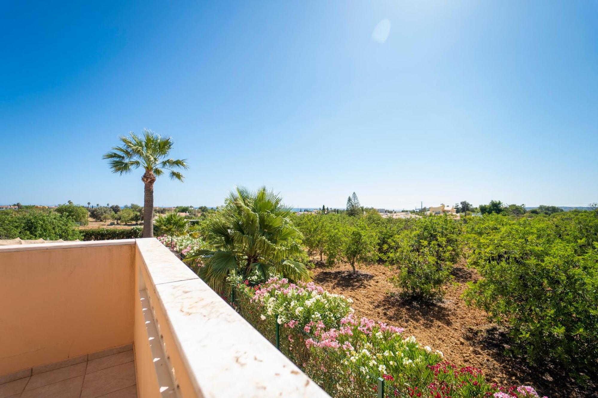 Apartamentos Monte Dos Avos, Albufeira Dış mekan fotoğraf